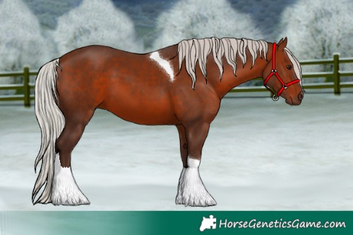 Horse Color:Silver Bay Tobiano