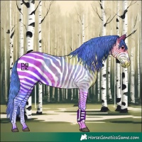 Horse Color:Nacre Watercolor Bay Sabino 