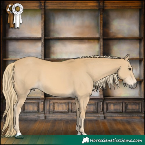 Horse Color:Chestnut Mushroom 