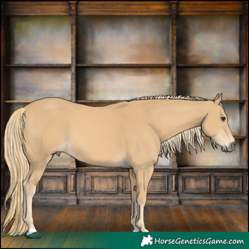 Horse Color:Chestnut Mushroom