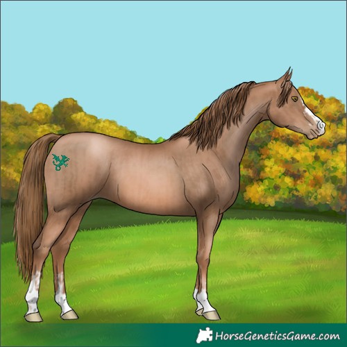 Horse Color:Liver Chestnut Pearl  and Liver Chestnut Pearl 