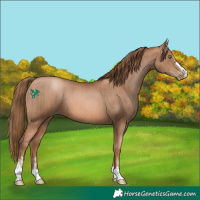 Horse Color:Liver Chestnut Pearl  and Liver Chestnut Pearl 