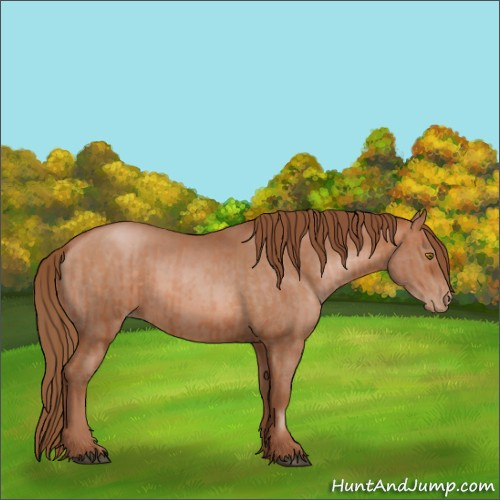 Horse Color:Brown Pearl  and Brown Pearl 