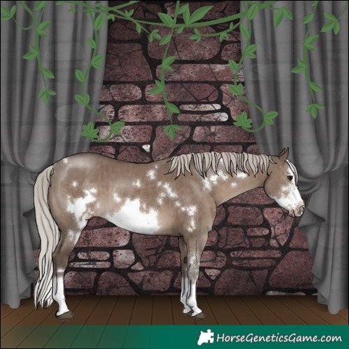 Horse Color:White Spotted Silver Grullo Sabino Splash Frame Brindle 