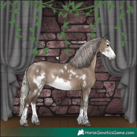 Horse Color:White Spotted Silver Grullo Sabino Splash Frame Brindle 