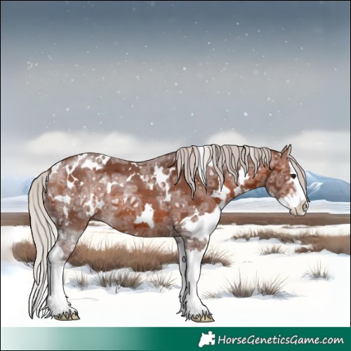 Horse Color:White Spotted Silver Brown Ice Splash 