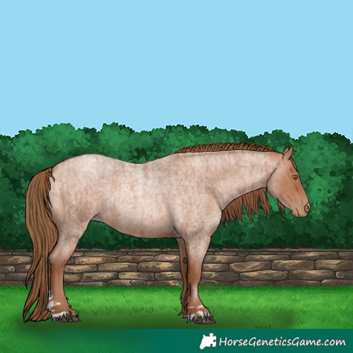 Horse Color:Brown Roan Pearl  and Bay Roan Pearl 