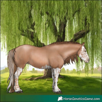 Horse Color:Liver Chestnut Pearl and Liver Chestnut Pearl Splash