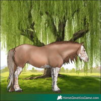 Horse Color:Liver Chestnut Pearl and Liver Chestnut Pearl Splash