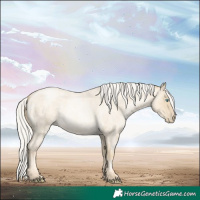 Horse Color:Silver Sable Cream Champagne Roan Pearl 