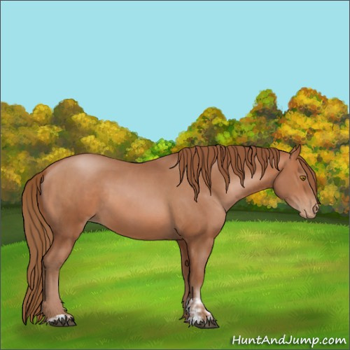 Horse Color:Brown Pearl  and Brown Pearl 