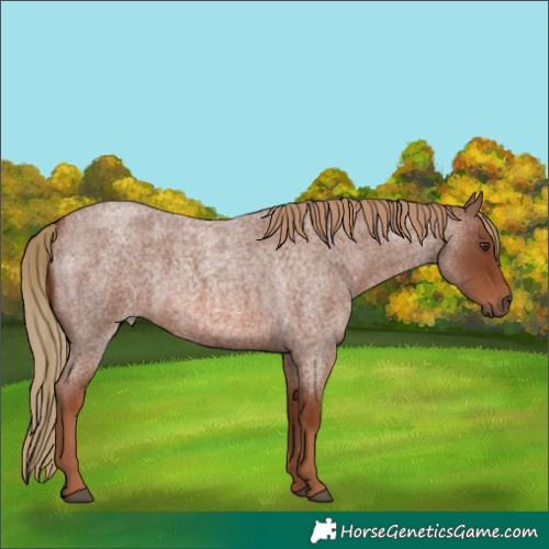TK Damage Comedy HorseGeneticsGame Tk damage comedy horsegeneticsgame