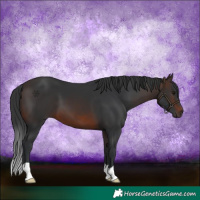 Horse Color:Brown 
