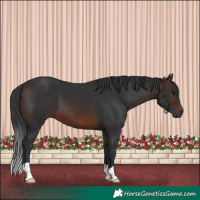 Horse Color:Brown 