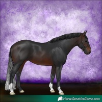 Horse Color:Brown 