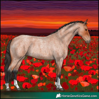 Horse Color:Bay Roan Tobiano