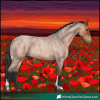 Horse Color:Bay Roan Tobiano