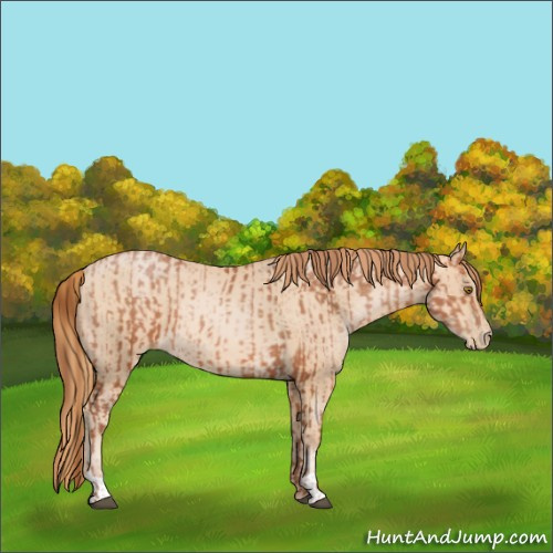 Horse Color:Bay Pearl  and Buckskin Pearl 