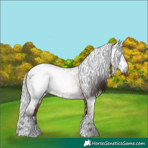 Horse Color:Gray Brown Pearl  and Gray Brown Pearl 