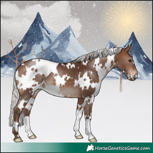 Horse Color:White Spotted Silver Brown 