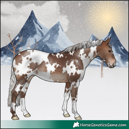 Horse Color:White Spotted Silver Brown 