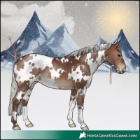 Horse Color:White Spotted Silver Brown 