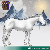 Horse Color:Gray Silver Grullo Splash Tobiano Varnish 