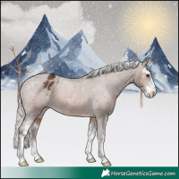 Horse Color:Silver Brown Sabino Appaloosa Rabicano 