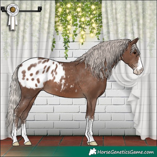 Horse Color:Silver Black Sabino Blanket 