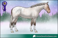Horse Color:Silver Brown Roan Dun Appaloosa 