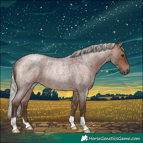 Horse Color:Silver Brown Roan Rabicano