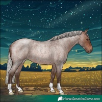 Horse Color:Silver Brown Roan Rabicano 