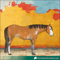 Horse Color:Buckskin Sabino  and Buckskin Sabino Splash 