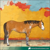 Horse Color:Buckskin Sabino  and Buckskin Sabino Splash 