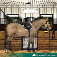 Horse Color:Buckskin Dun Rabicano 