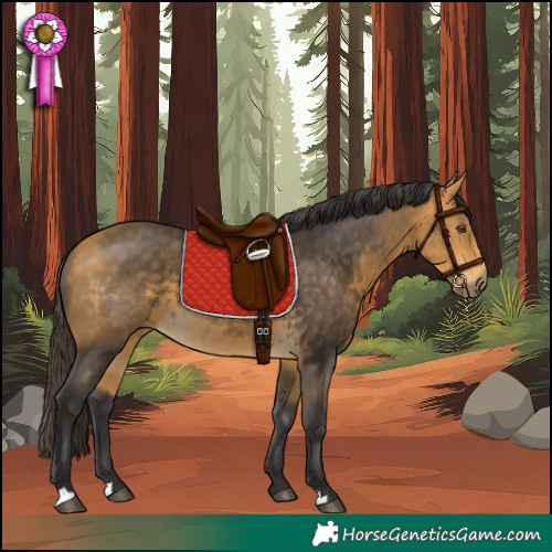 Horse Color:Buckskin Rabicano 