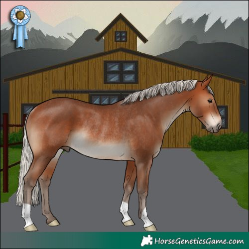 Horse Color:Silver Brown Rabicano 