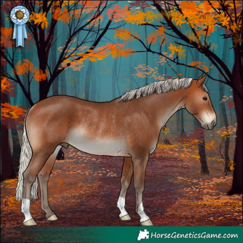 Horse Color:Silver Brown Rabicano 