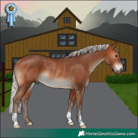 Horse Color:Silver Brown Rabicano 