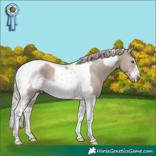 Horse Color:Silver Grullo Tobiano Frame Rabicano 