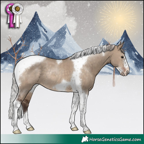 Horse Color:Silver Brown Dun Tobiano Frame Rabicano