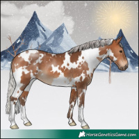 Horse Color:White Spotted Silver Brown