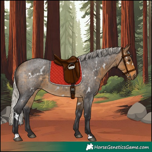 Horse Color:White Spotted Silver Buckskin Roan 