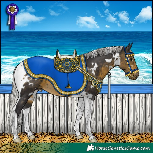 Horse Color:White Spotted Silver Buckskin Tobiano 