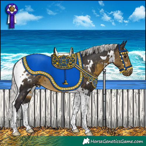 Horse Color:White Spotted Silver Buckskin Tobiano