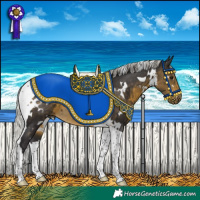Horse Color:White Spotted Silver Buckskin Tobiano