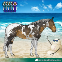 Horse Color:White Spotted Silver Buckskin Tobiano