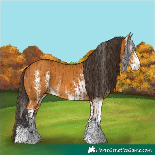 Horse Color:Bay Sabino and Buckskin Sabino