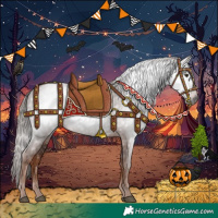 Horse Color:Gray Chestnut 