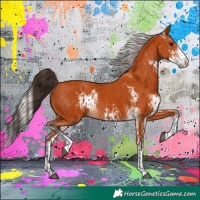 Horse Color:Bay Sabino  and Silver Bay Sabino 